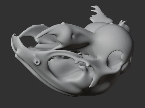 Degu Skull 3D Model