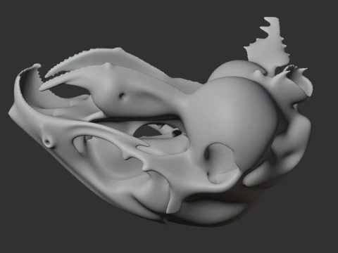 Degu Skull 3D Model