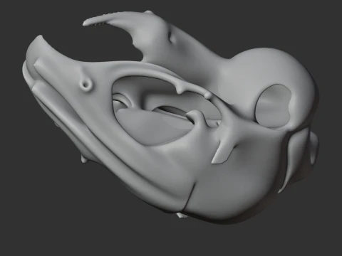 Degu Skull 3D Model