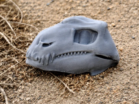 Diadectes Skull 3D Model