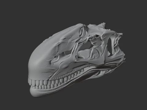 Dilophosaurus Skull 3D Model