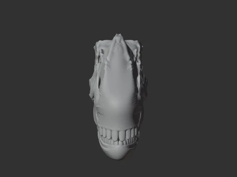 Dilophosaurus Skull 3D Model