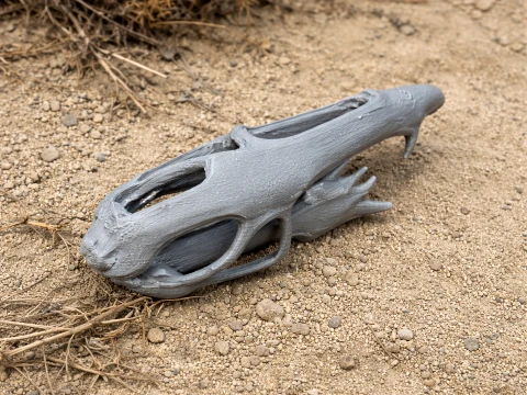 Dimorphodon Skull Modelo 3D