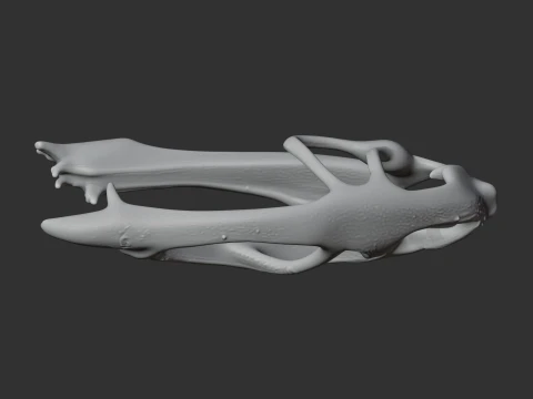 Dimorphodon Skull 3D Model