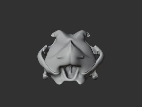 Dingo Skull 3D Model