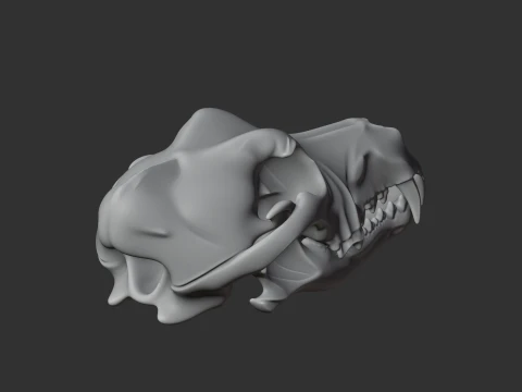 Dingo Skull 3D Model