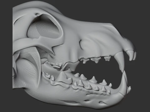 Dire Wolf Skull 3D Model