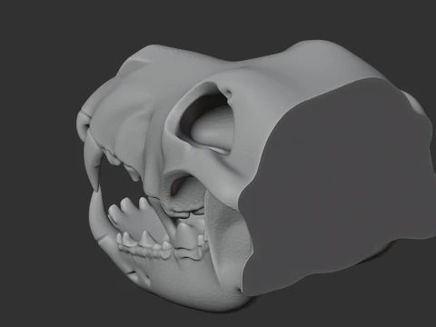 Dire Wolf Skull 3D Model