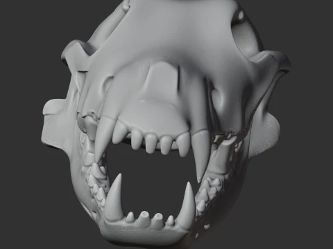 Dire Wolf Skull 3D Model
