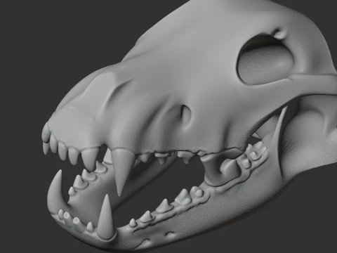 Dire Wolf Skull 3D Model