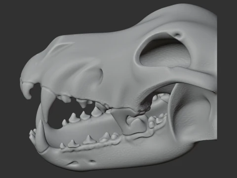 Dire Wolf Skull 3D Model