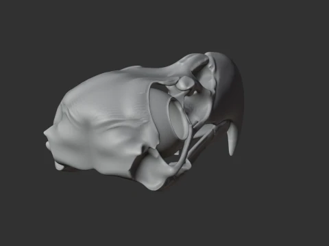 Eagle Skull 3D Model