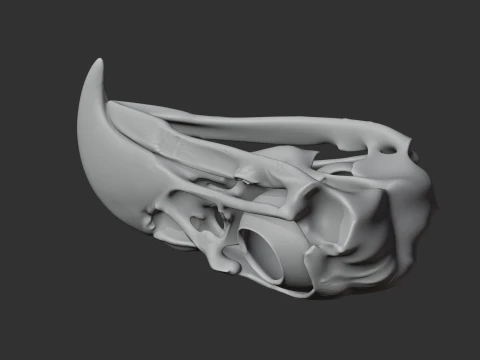 Eagle Skull 3D Model