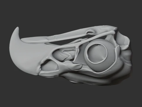 Eagle Skull 3D Model