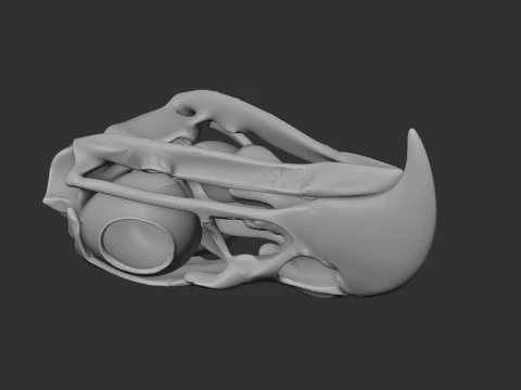 Eagle Skull 3D Model
