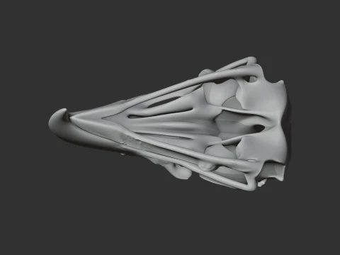 Eagle Skull 3D Model