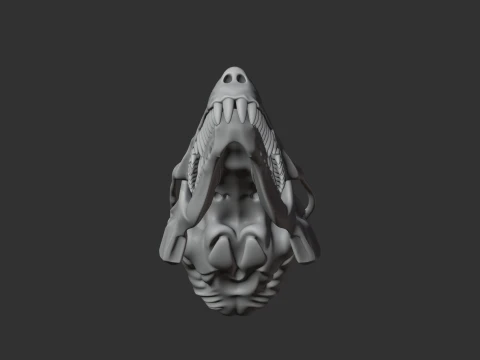 Eastern Mole Skull 3D Model
