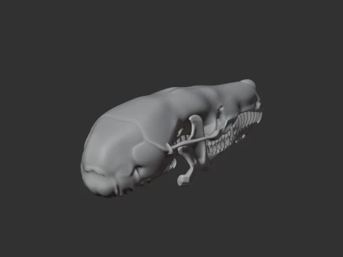Eastern Mole Skull 3D Model