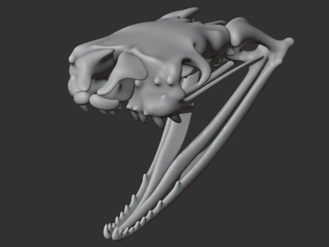 Egyptian Cobra Skull 3D Model