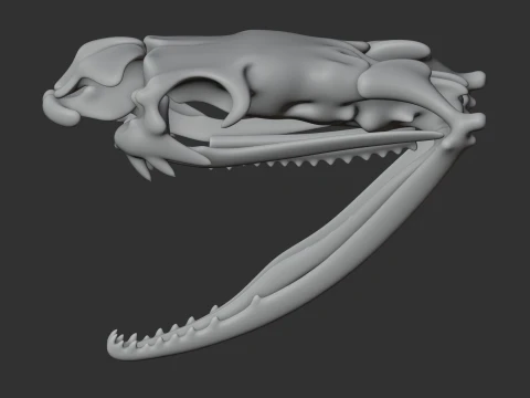 Egyptian Cobra Skull 3D Model