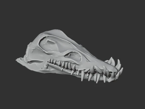 Elasmosaurus Skull 3D Model