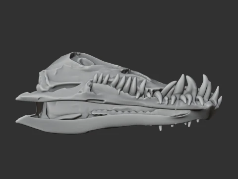Elasmosaurus Skull 3D Model