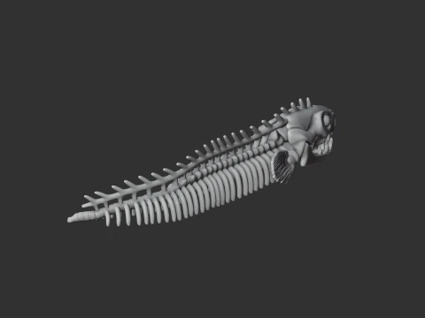 Electric Eel Skull 3D Model