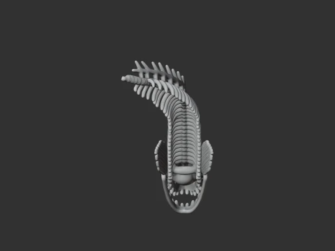 Electric Eel Skull 3D Model