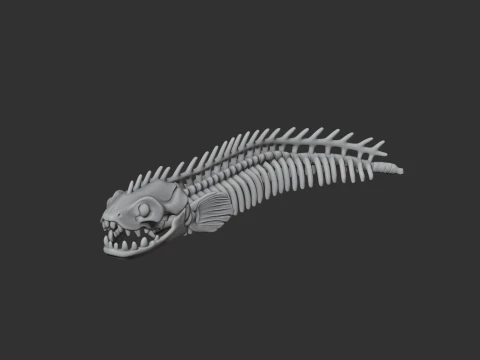 Electric Eel Skull 3D Model