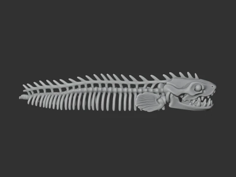 Electric Eel Skull 3D Model