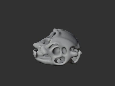 Elephant Bird Aepyornis Skull 3D Model