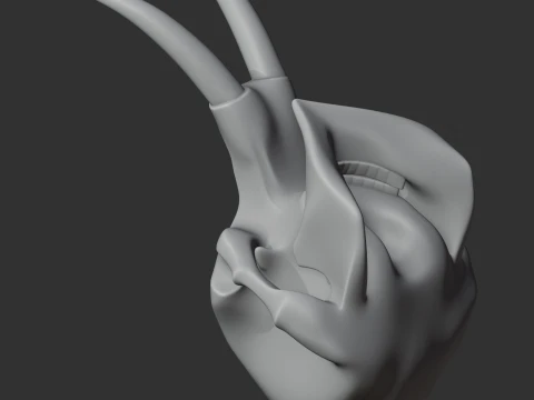 Elephant Skull 3D Model