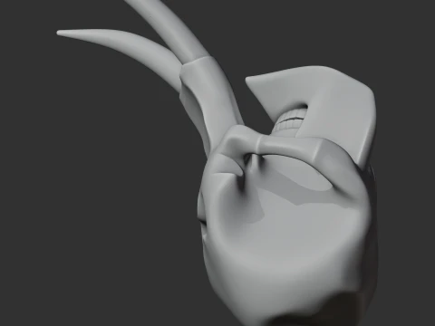 Elephant Skull 3D Model