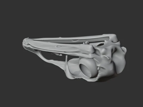Emu Skull 3D Model