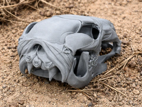 Euro Wallaroo Skull 3D Model