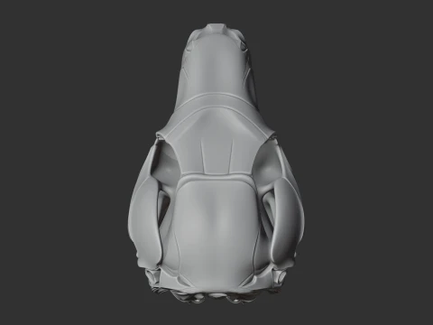 Euro Wallaroo Skull 3D Model