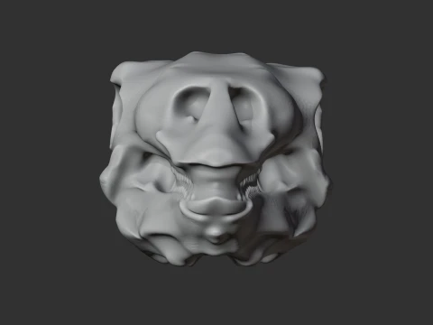 Gastonia Skull 3D Model