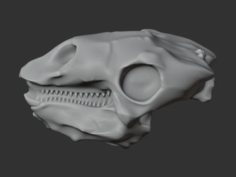 Gastonia Skull 3D Model