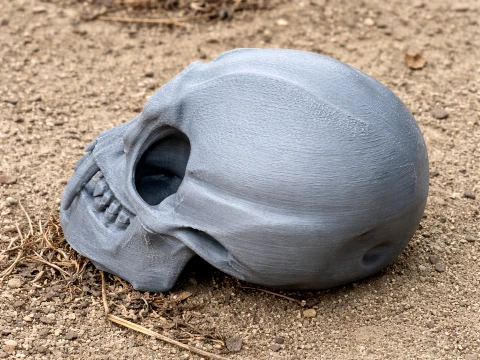Gibbon Skull 3Dモデル