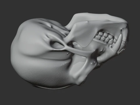 Gibbon Skull 3D Model