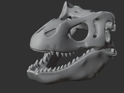Gongxianosaurus fossil Skull 3D Model