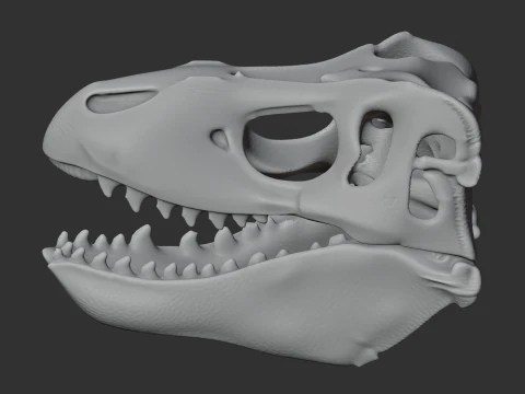 Gongxianosaurus fossil Skull 3D Model