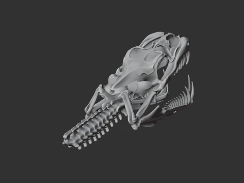Green Tree Python Skull 3D Model
