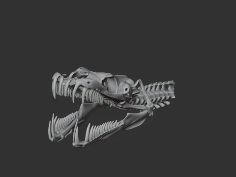 Green Tree Python Skull 3D Model