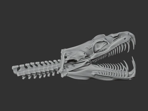 Green Tree Python Skull 3D Model
