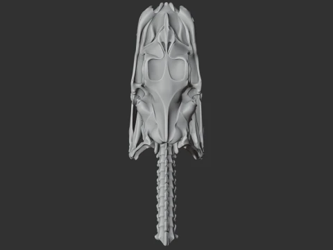Green Tree Python Skull 3D Model