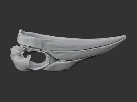 Ground Hornbill Skull 3D Model