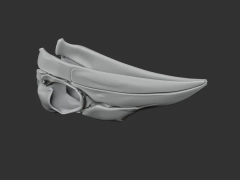Ground Hornbill Skull 3D Model