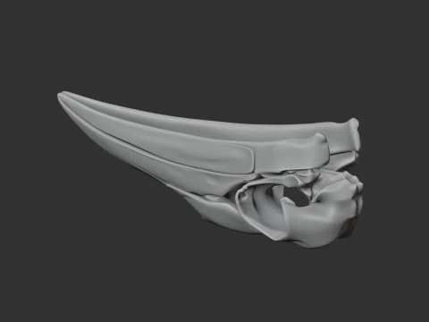 Ground Hornbill Skull 3D Model