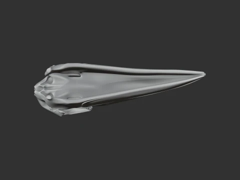 Ground Hornbill Skull 3D Model